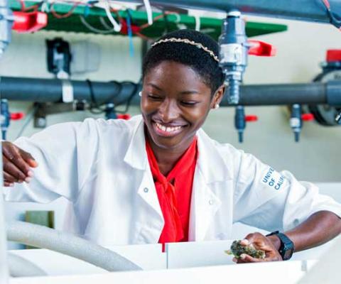 lady working on chemicals